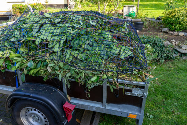 Same-Day Junk Removal Services in Pocono Ranch Lands, PA